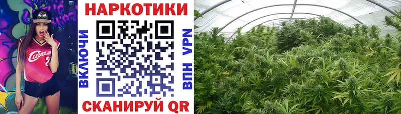 Купить Снежногорск Гашиш Лсд 25 Alpha PVP Меф мяу мяу Конопля