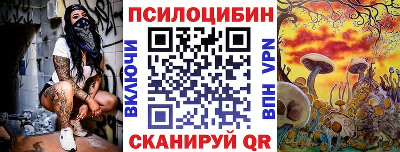 Галлюциногенные грибы Psilocybe  кракен зеркало  Снежногорск 