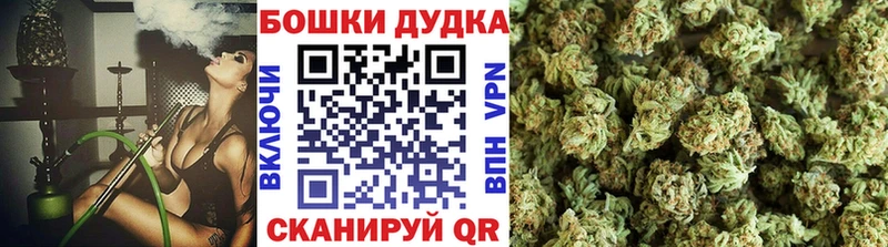 hydra зеркало  Снежногорск  Шишки марихуана THC 21% 